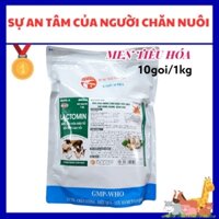 [Thú Y] Men tỏi (1kg): Men tiêu hóa + cao tỏi