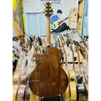 Thuận Guitar AT07-Cx Custom