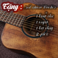 Thuận guitar DT03 TIN VS , Guitar acoustic , Guitar giá rẻ , Guitar cao cấp . Guitar chính hãng