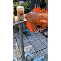 Thức ăn bổ sung cho iguana (rồng Nam Mỹ ).Thức ăn BIG hộp 300g