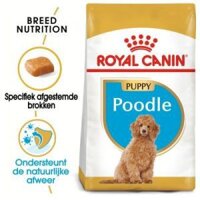 THỨC ĂN CAO CẤP DÀNH CHO CHÓ: ROYAL CANIN POODLE PUPPY