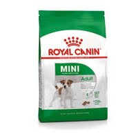 Thức ăn cho chó lớn size nhỏ ( <10kg) mini adult ROYAL CANIN