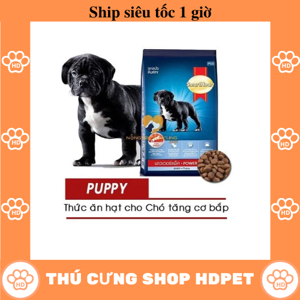 Thức ăn cho chó lớn Smartheart Power Pack - 10 kg