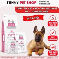 Thức Ăn Cho Chó Malinois 1-3 Tháng | Brit Care Grain-Free Puppy Salmon & Potato