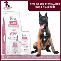 Thức Ăn Cho Chó Malinois 1-3 Tháng | Brit Care Grain-Free Puppy Salmon & Potato