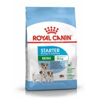 Thức Ăn Cho Chó Mẹ Và Con Royal Canin MINI Starter (1kg)
