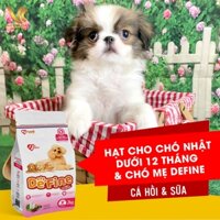 Thức ăn cho chó Nhật từ 2 đến 12 tháng tuổi Define vị cá hồi & gạo 500g | VC Pet Shop