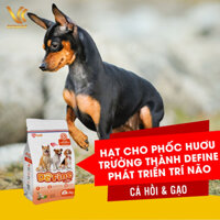 Thức ăn cho chó Phốc Hươu trưởng thành trên 12 tháng tuổi Define | VC Pet Shop