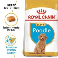 Thức ăn cho chó Poodle con Royal Canin Poodle Junior