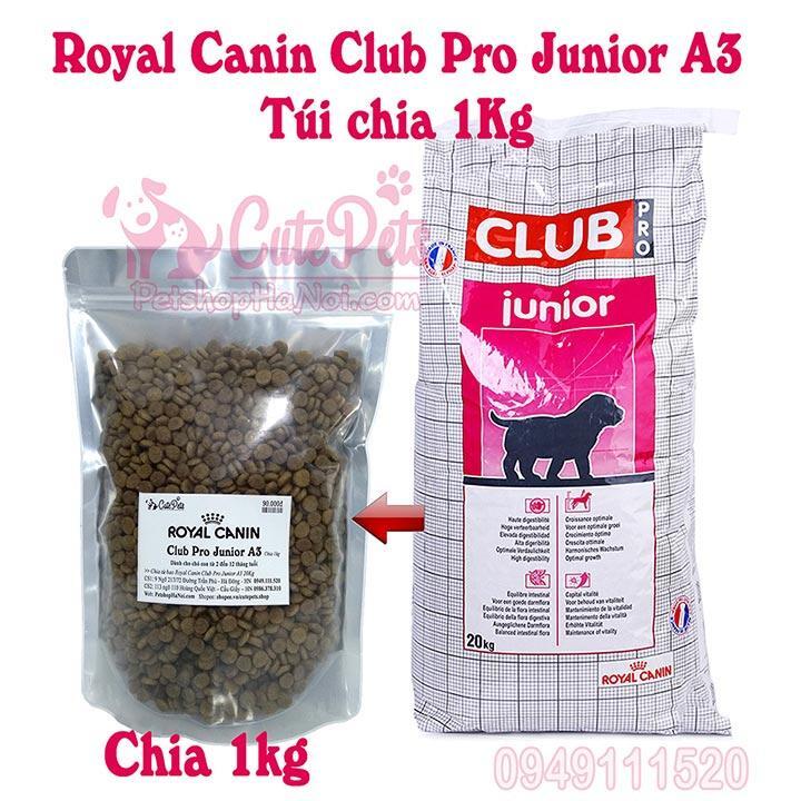 Thức ăn cho chó Royal Canin Club Pro Junior - 1kg, dành cho chó trên 12 tháng tuổi
