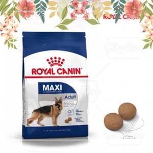 Thức ăn cho chó Royal Canin Maxi Adult - 10kg, dành cho chó từ 26-44kg và trên 15 tháng tuổi