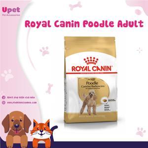Thức ăn cho chó Royal Canin Poodle Adult - 1.5kg, dành cho Poodle trên 10 tháng tuổi