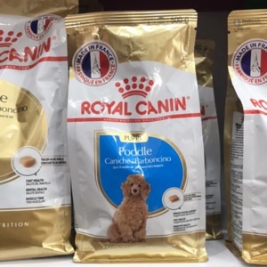 Thức ăn cho chó Royal Canin Poodle Junior - 1.5kg, dành riêng cho Poodle từ 2-10 tháng tuổi