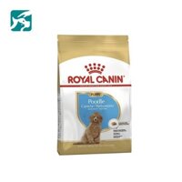 Thức ăn cho chó Royal Canin Poodle Junior 500Gam