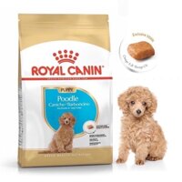 Thức ăn cho chó Royal Canin Poodle Puppy