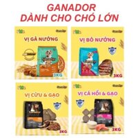 Thức ăn chó lớn ganador adult gói 3kg