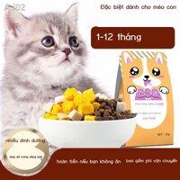 Thức ăn cho mèo con 1-4 tháng tuổi đông khô bánh sữa cho mèo con vỗ béo và vỗ béo đa năng nhiều thịt thức ăn cho mèo con