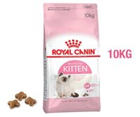 Thức ăn cho mèo con Royal Canin – bao 10kg – Royal Canin Kitten