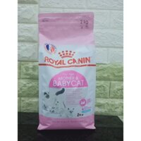 Thức ăn cho mèo mẹ mang thai và mèo con <3 tháng Royal Canin túi 2kg