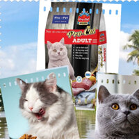 Thức ăn cho mèo -Pro Pet Cat gói 2kg