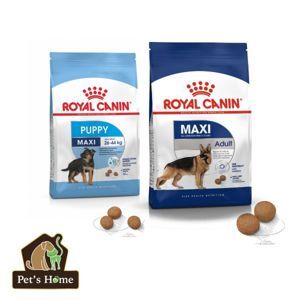 Thức ăn chó Royal Canin Maxi Puppy - 10kg