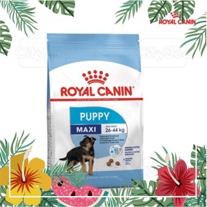 Thức ăn chó Royal Canin Maxi Puppy - 10kg