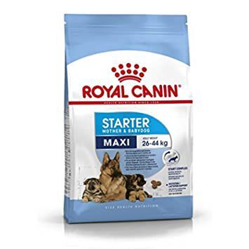 Thức ăn chó Royal Canin Maxi Starter Momther & baby - 4kg