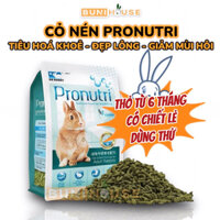 Thức ăn cho Thỏ - Cỏ nén Pronutri dưỡng da đẹp lông giảm mùi hôi phân cho thỏ lớn >6 tháng Dr Bunny 900g DR316 BuniHouse