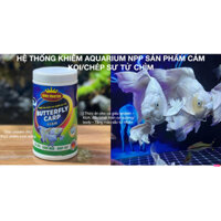 Thức ăn hàm lượng đạm cao cho chép sư tử, bướm, chép phụng HẠT CHÌM 45% ĐẠM