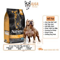 Thức Ăn Hạt Cho Chó Bully Nutrience Subzero Bao 500g Hỗ Trợ Xương Sụn Cơ Khớp - Gà Tây, Rau Củ Quả, Trái Cây