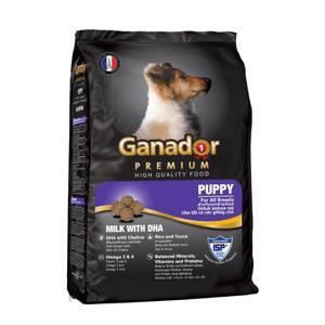 Thức ăn hạt cho Chó con Ganador Puppy - 500g, dành cho chó dưới 10 tháng tuổi