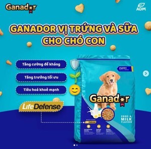 Thức ăn hạt cho Chó con Ganador Puppy - 500g, dành cho chó dưới 10 tháng tuổi