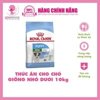 Thức ăn hạt cho chó con Royal Canin Mini Puppy - Dogparadise.vn