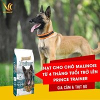 Thức Ăn Hạt Cho Chó Malinois Từ 4 Tháng Tuổi Trở Lên | Prince Trainer Gia Cầm & Thịt Bò 20kg| VC Pet Shop