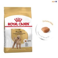 Thức Ăn Hạt Cho Chó Royal Canin Adult/ Puppy dành cho Poodle - (Túi 500g)