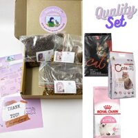 Thức Ăn Hạt Cho Mèo Hạt Mix Các Loại Hạt Giá Tốt Nhất - Quality Set