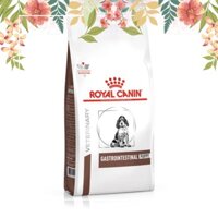 Thức ăn hạt dành cho chó con gặp vấn đề tiêu hoá và tiêu chảy cai sữa - Royal Canin Gastrointestinal Puppy