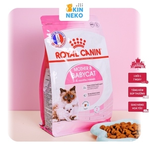 Thức ăn hạt dành cho mèo mẹ và mèo con - Royal Canin Mother and BabyCat 400g