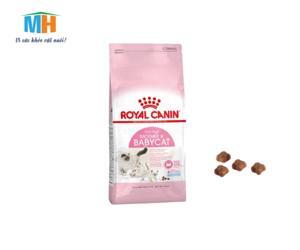 Thức ăn hạt dành cho mèo mẹ và mèo con - Royal Canin Mother and BabyCat 400g