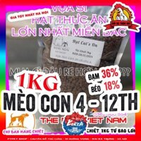 Thức Ăn Hạt Khô Catsrang và các loại hạt tổng hợp dành Cho Mèo Mọi Lứa Tuổi1kg - CHỈ BÁN HÀNG CHIẾT