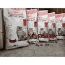 Thức Ăn Hạt Khô Cho Mèo Apro IQ bao 20kg