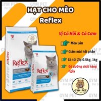 Thức ăn hạt reflex cho mèo lớn vị cá hồi và cá cơm Reflex Salmon & Anchovy