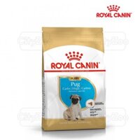 Thức ăn hạt Royal Canin Pug Puppy cho giống cho Pug dưới 10 tháng tuổi - Túi 500g