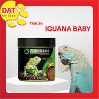 Thức ăn IGUANA BABY - Rồng Nam Mỹ Baby từ mới nở đến 9x