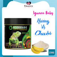 Thức ăn IGUANA BABY VỊ CHUỐI - Rồng Nam Mỹ Baby vị chuối từ mới nở đến 9x
