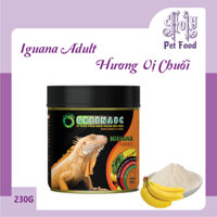 Thức ăn Iguana Trưởng Thành Rồng Nam Mỹ vị CHUỐI - hộp 230g - Tiêu hóa tốt, Cơ thể săn chắc