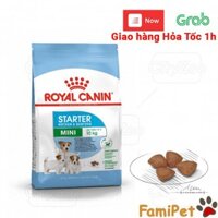 Thức Ăn Khô Cho Chó Royal Canin Mini Starter Mother & Babydog 1Kg