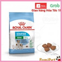 Thức Ăn Khô Cho Chó Royal Canin Mini Starter Mother & Babydog 1Kg
