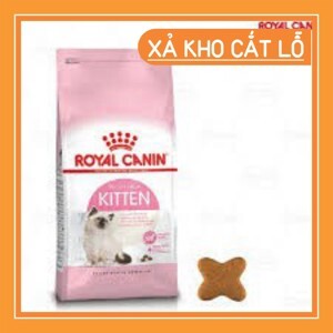 Thức ăn mèo Royal Canin Kitten 10kg