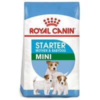 THỨC ĂN ROYAL CANIN MINI STARTER MOTHER & BABYDOG 1kg - LAI NHỰ PET